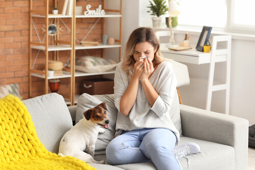 Pets & Allergies & Your Home